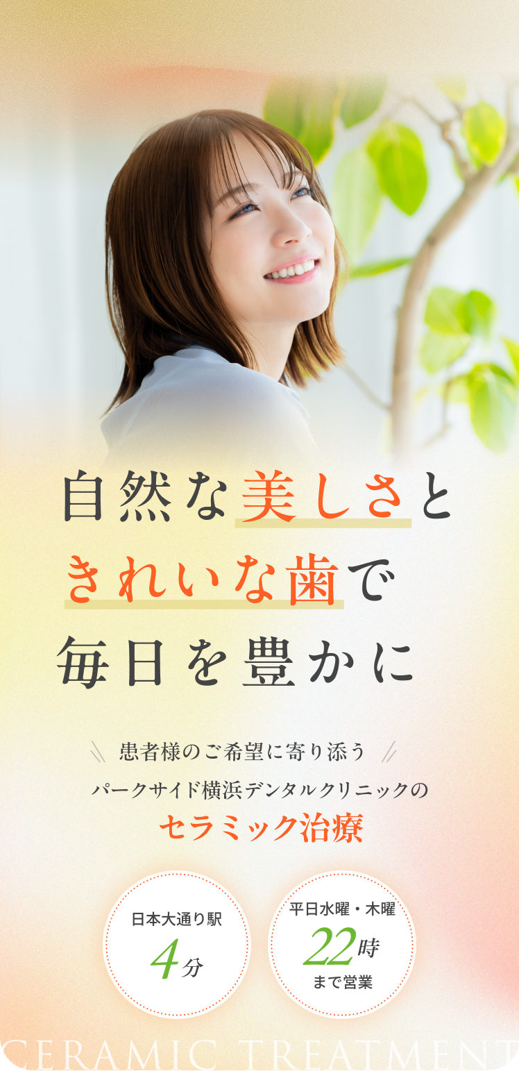 セラミック